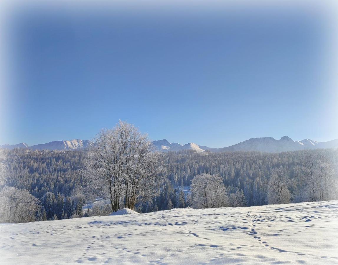 Willa Juna Tatry Nowe Bystre Exterior photo